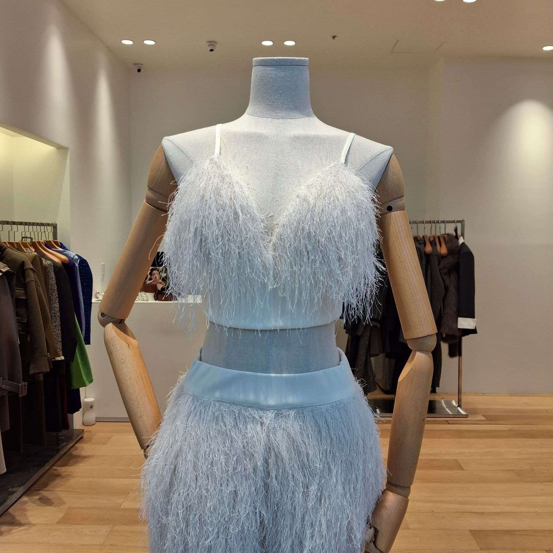 Ostrich Top 1