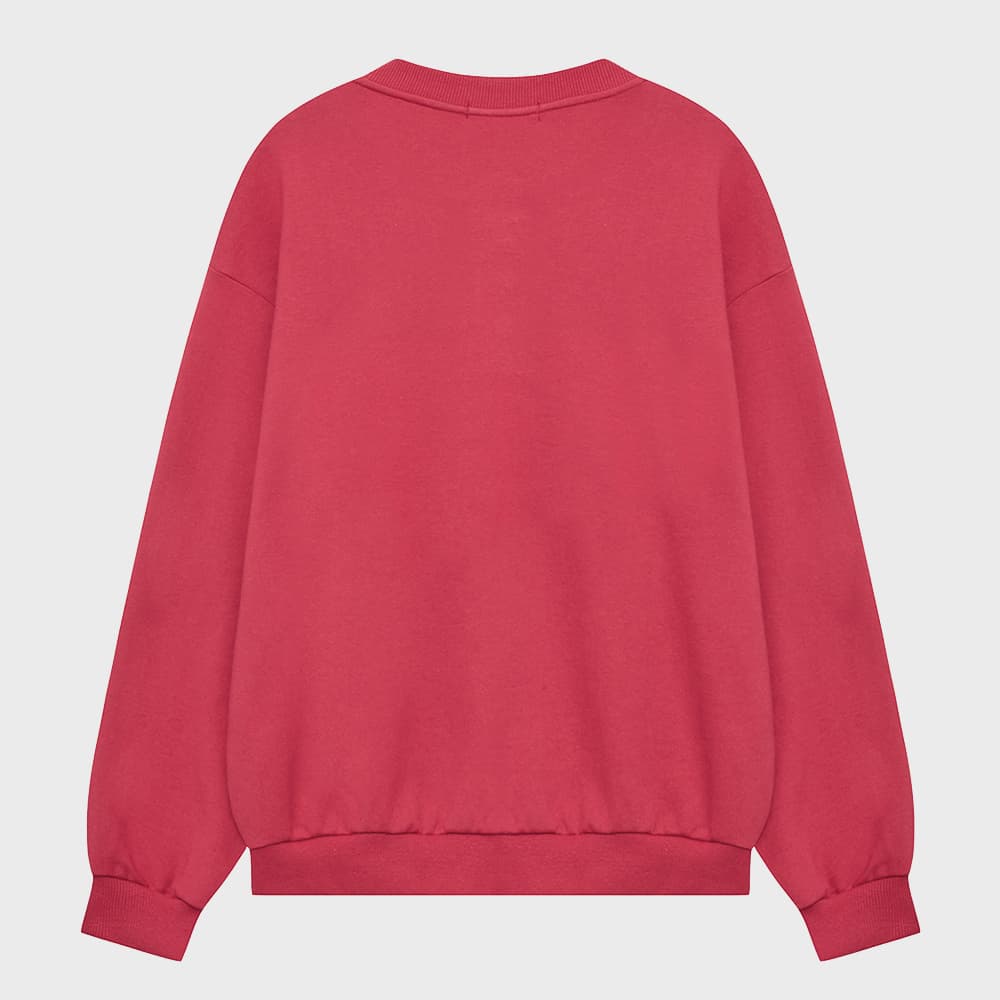 [SSERPE] CATCH WAVES HENLY NECK SWEATSHIRTS 7